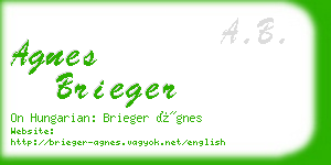 agnes brieger business card